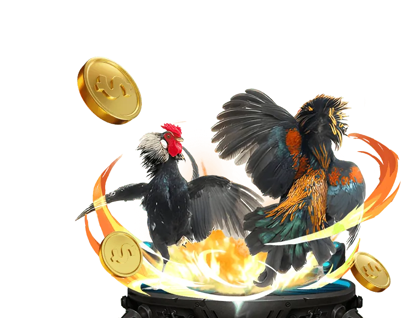 Hoàn trả hàng ngày đá gà